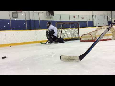 2 Shot Deflection Drill